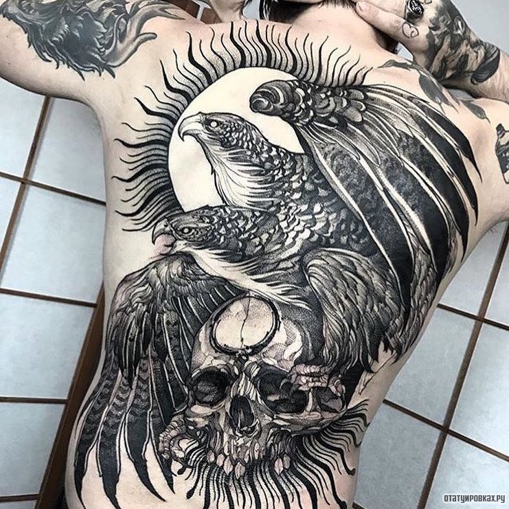 Фотография татуировки под названием «Огромный сокол с черепом»