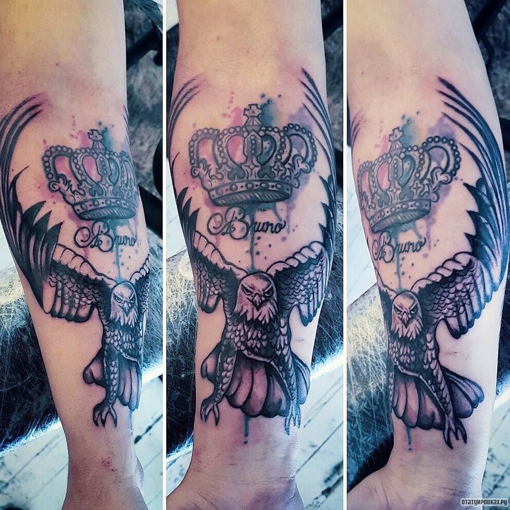 Фотография татуировки под названием «Сокол с короной»