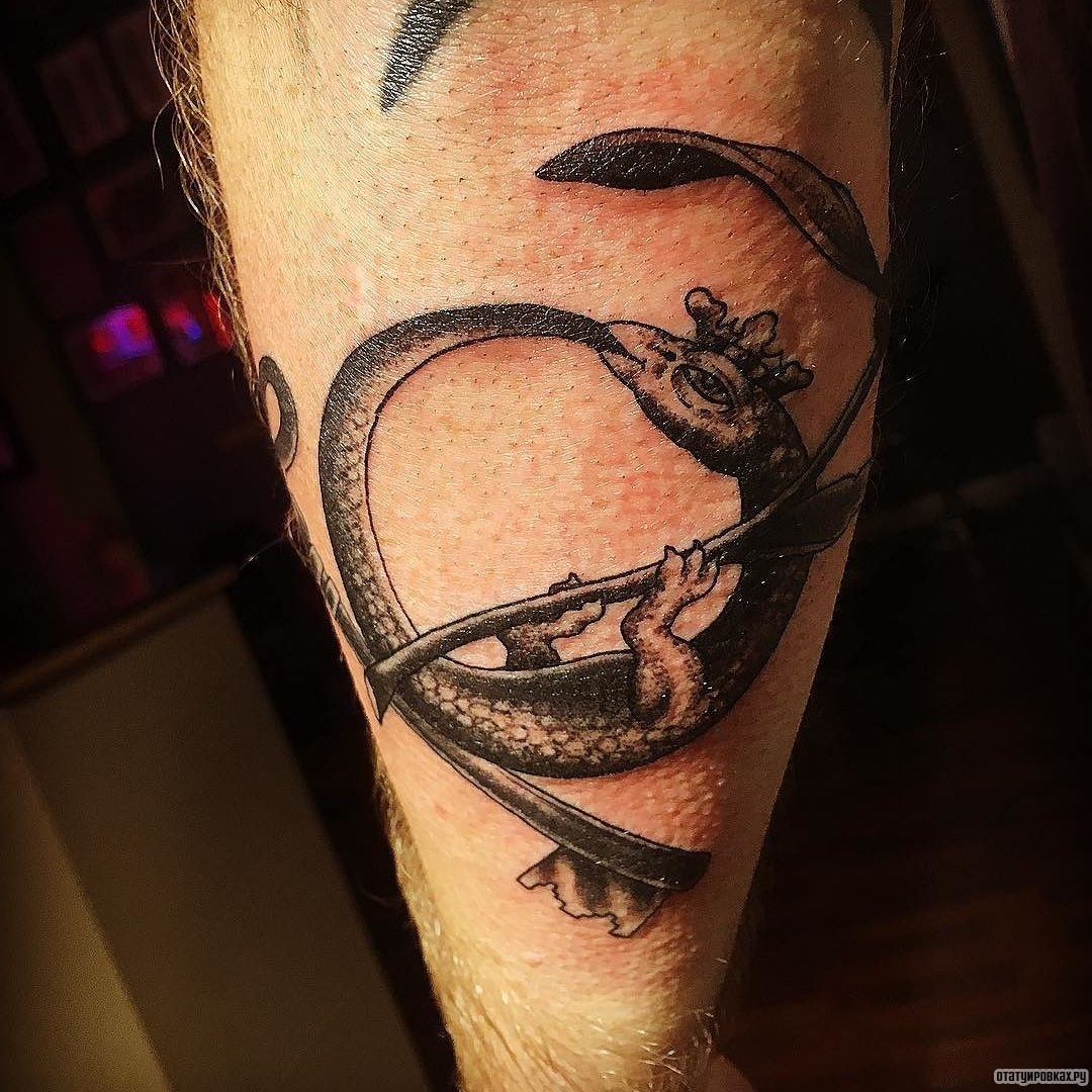Фотография татуировки под названием «Уроборос в виде змейки в короне»