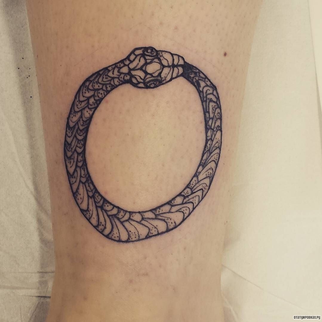 Фотография татуировки под названием «Уроборос - змейка в узоре»