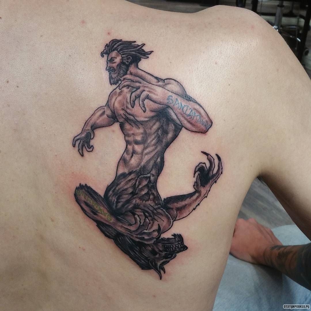 Фотография татуировки под названием «Человек и оборотень»