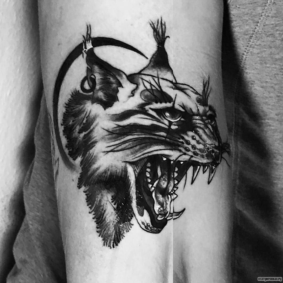 Фотография татуировки под названием «Рысь с месяцем»