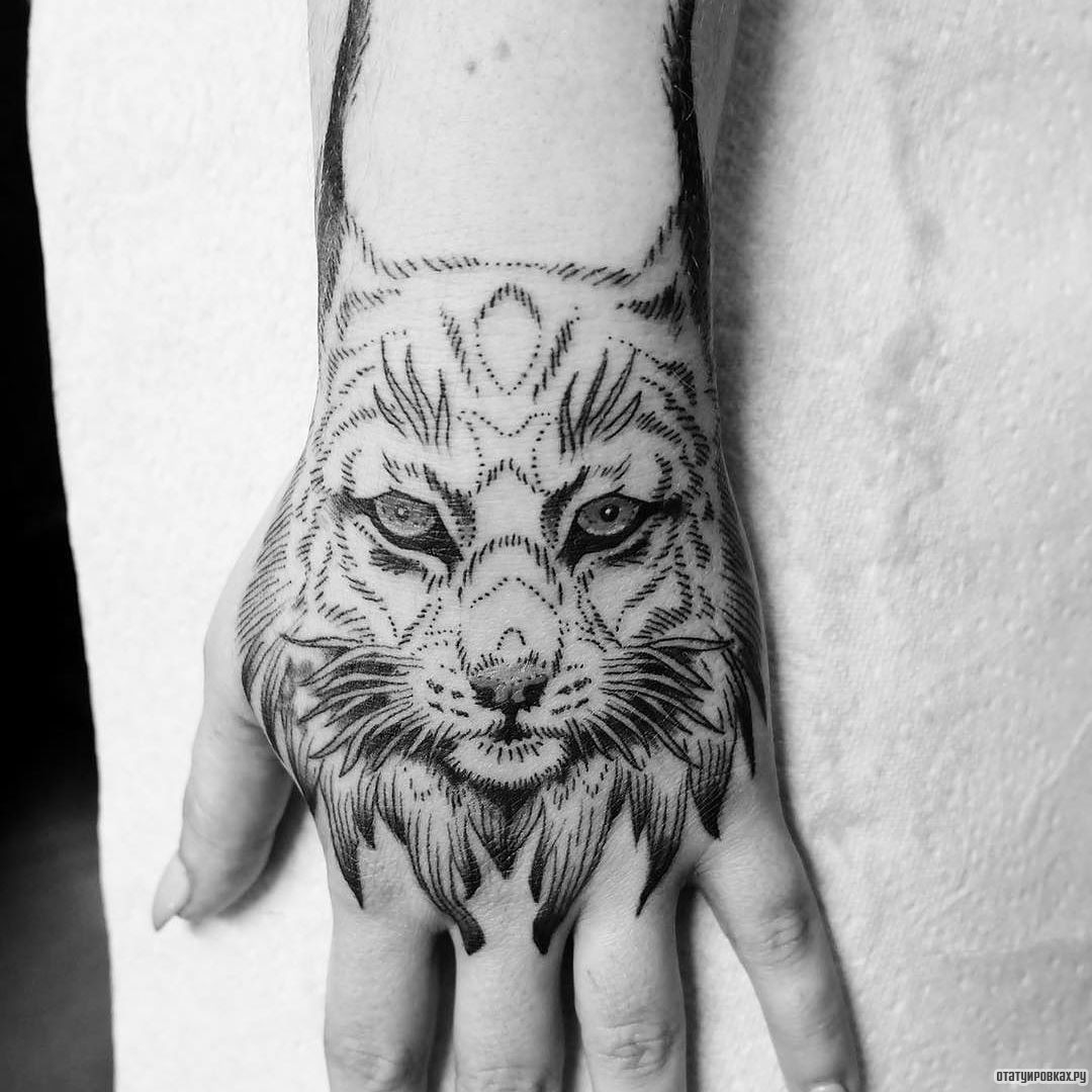 Фотография татуировки под названием «Морда рыси»