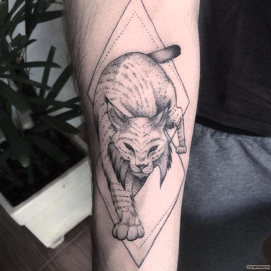 Фотография татуировки под названием «Рысь крадется»