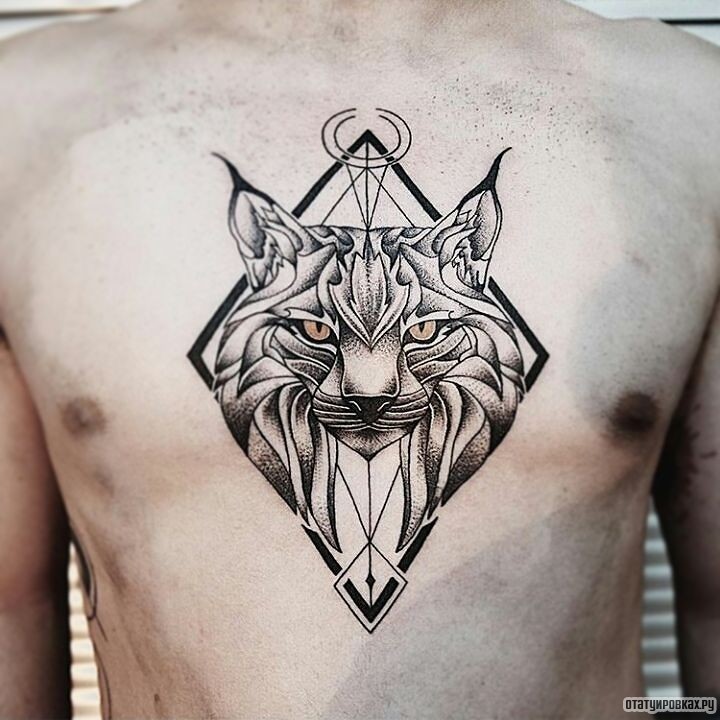 Фотография татуировки под названием «Рысь и узор»