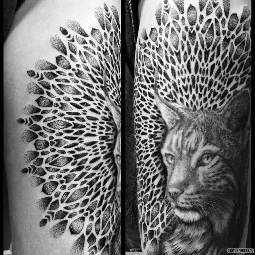 Фотография татуировки под названием «Рысь и большой узор»