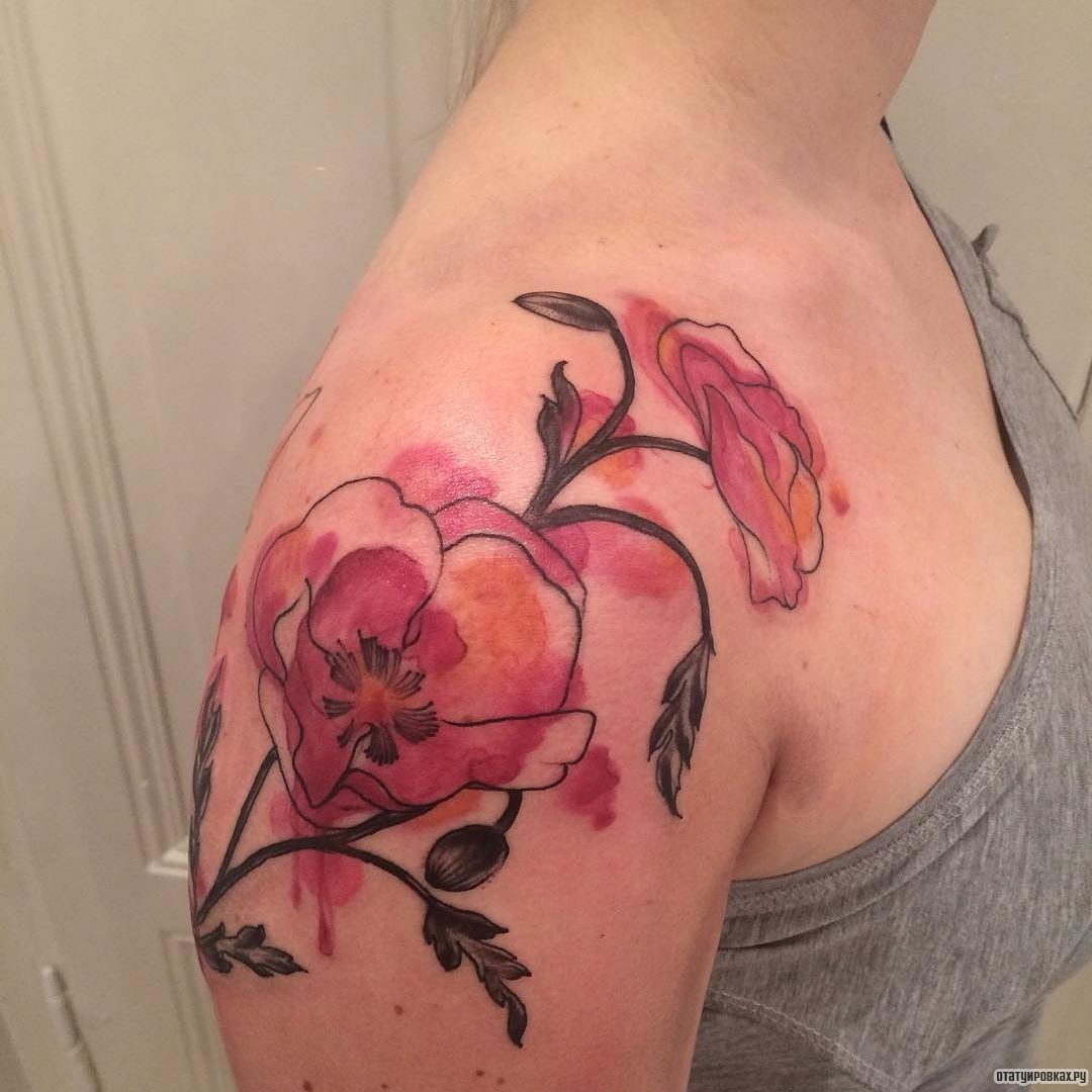 Фотография татуировки под названием «Цветы мака в красках»