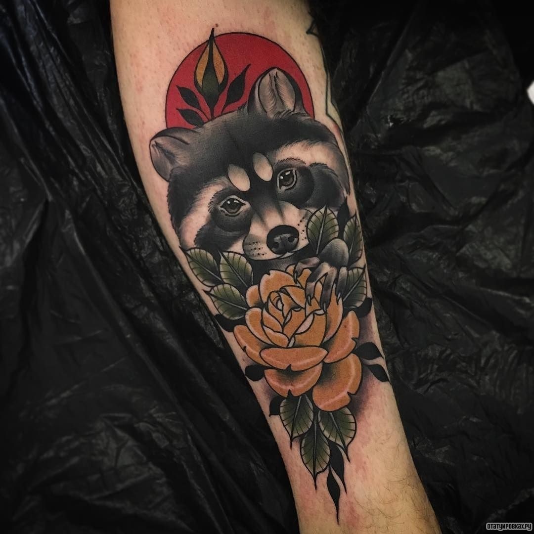 Фотография татуировки под названием «Енот с розой»