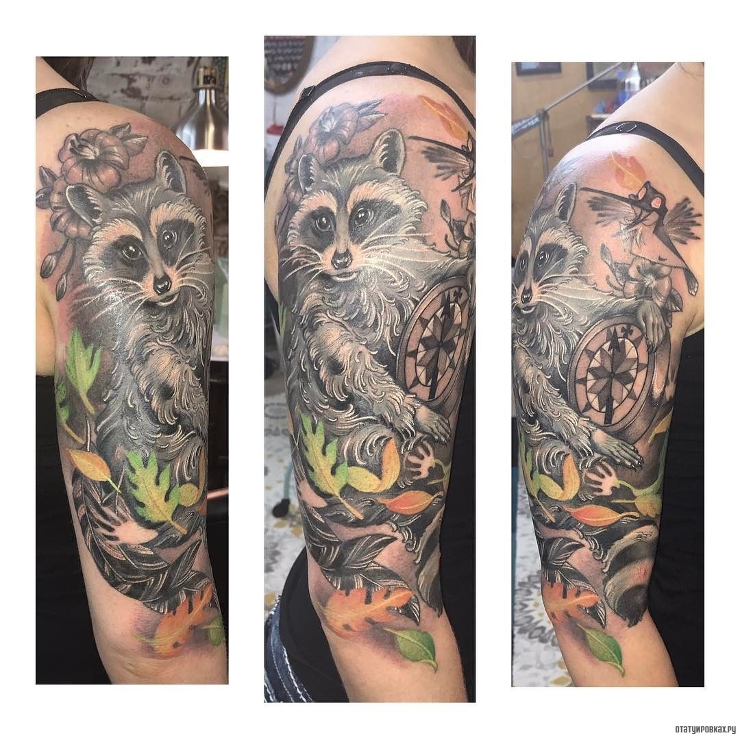 Фотография татуировки под названием «Енот с компасом и колибри»