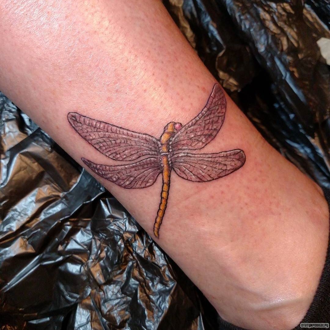 Фотография татуировки под названием «Желтая стрекоза»