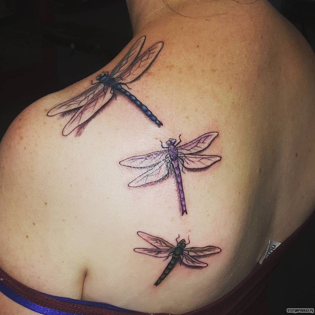 Фотография татуировки под названием «Три стрекозы»