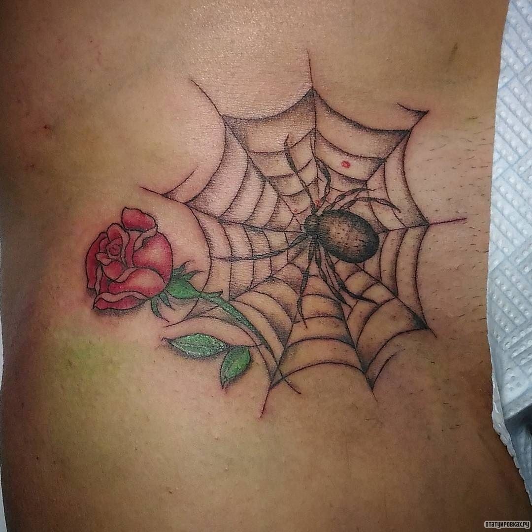 Фотография татуировки под названием «Паутина, паук и роза»