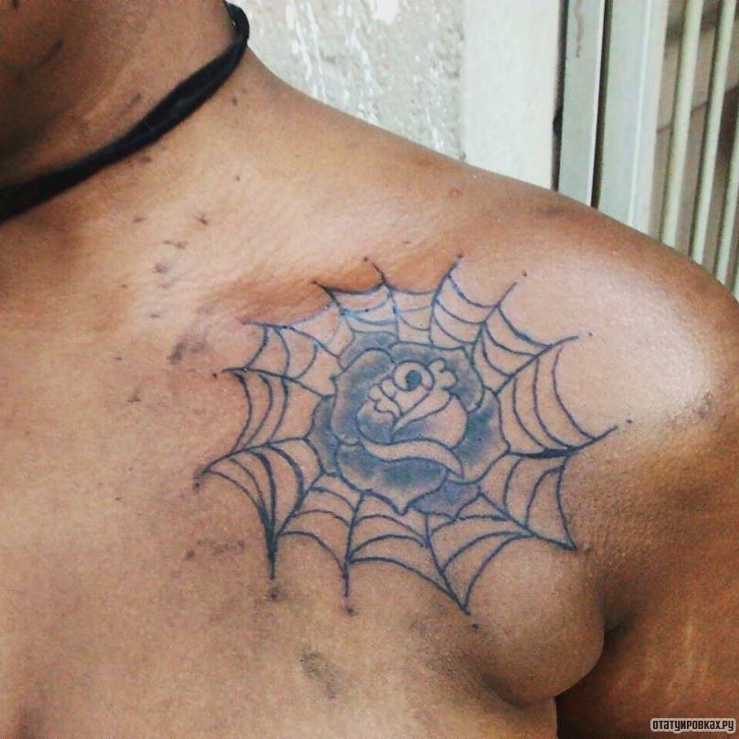 Фотография татуировки под названием «Паутина с розой чб»
