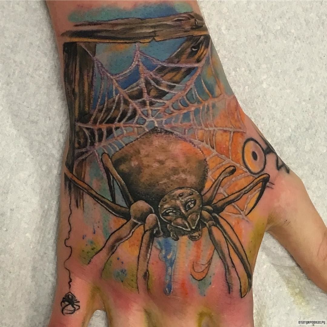 Фотография татуировки под названием «Паутина с пауком в красках»