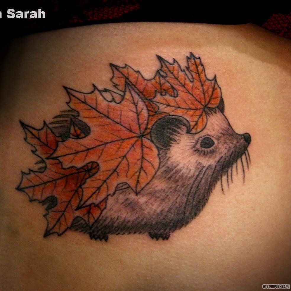 Фотография татуировки под названием «Еж с листьями клена»