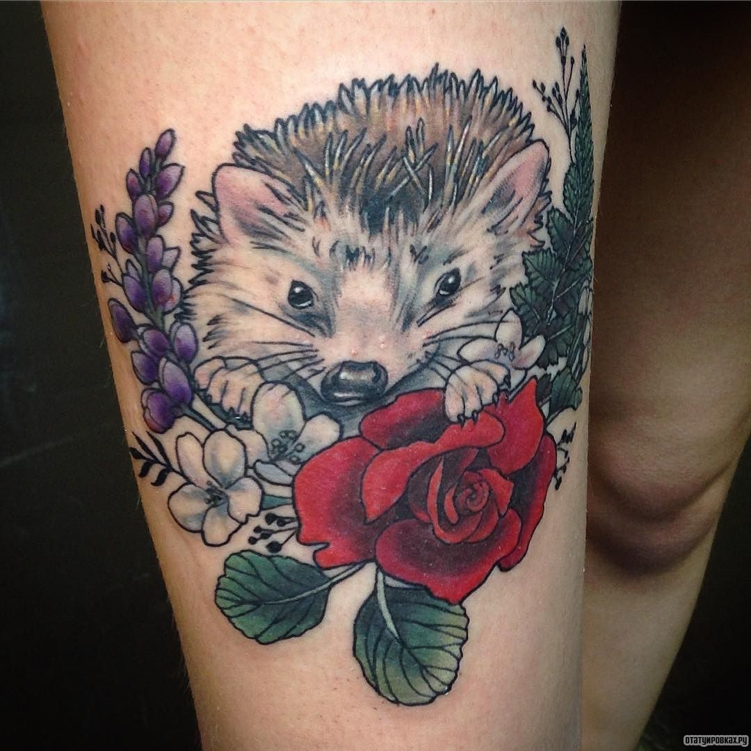 Фотография татуировки под названием «Еж с розой и сиреневыми цветами»