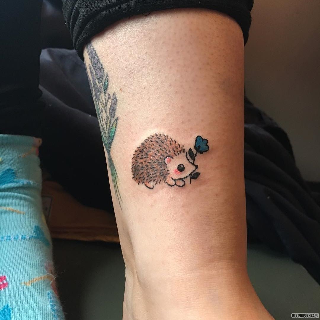Фотография татуировки под названием «Небольшой ежик с синим цветочком»