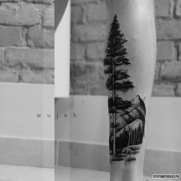 Фотография татуировки под названием «Горы и сосна»