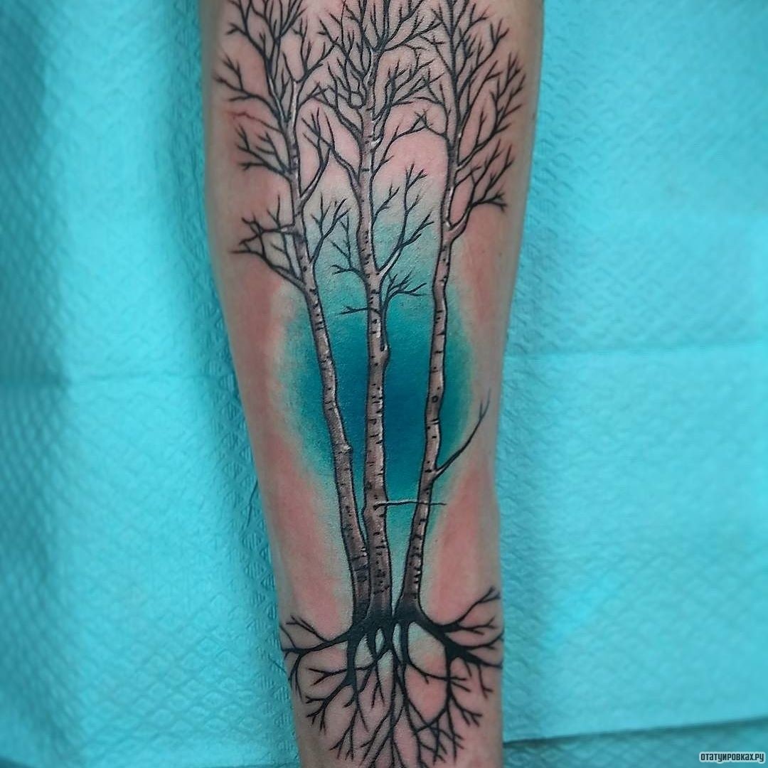 Фотография татуировки под названием «Три дерева с корнями»