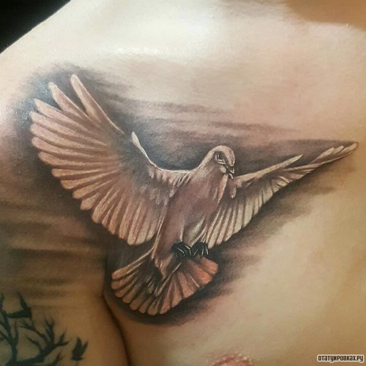 Фотография татуировки под названием «Голубь летит»
