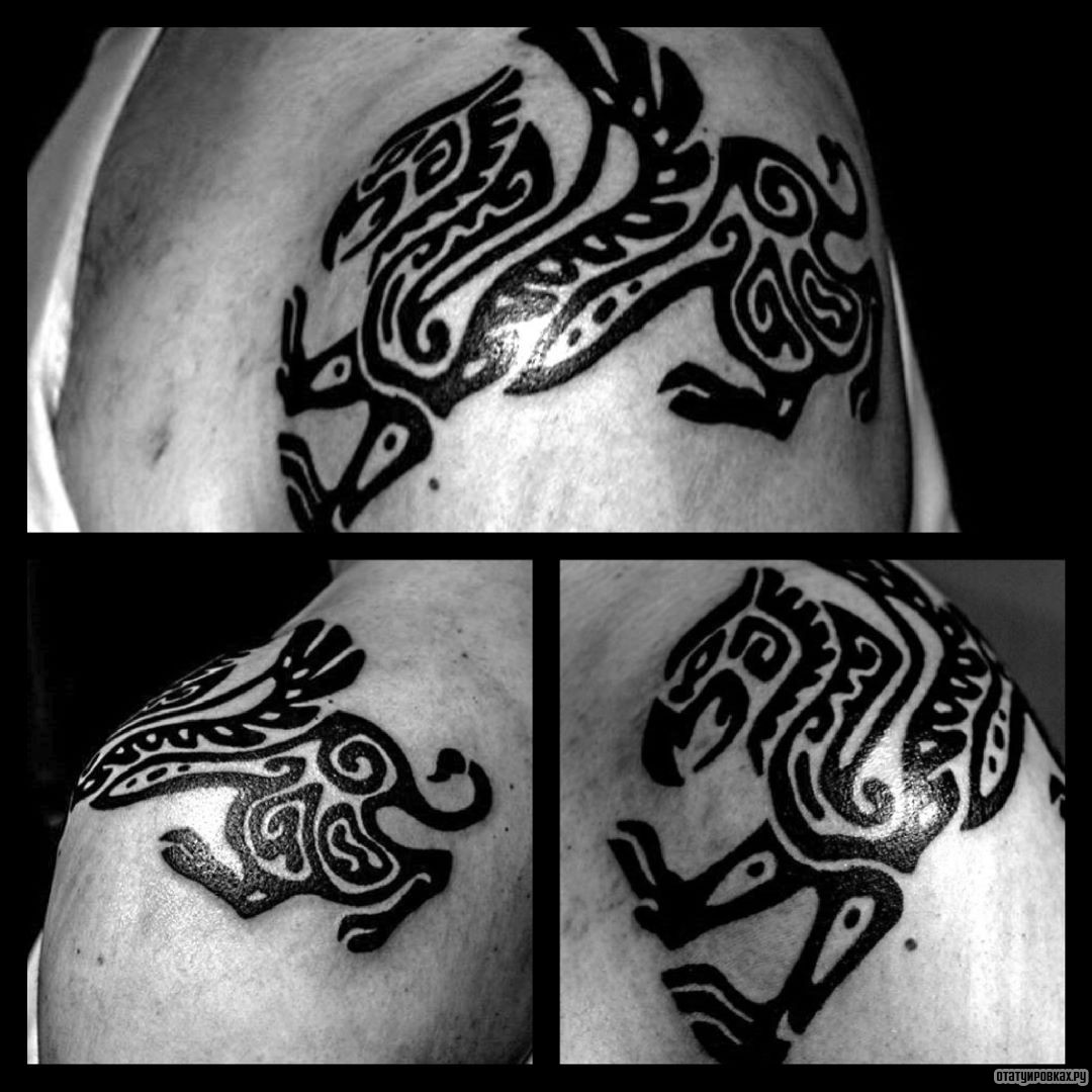Фотография татуировки под названием «Скифский узор животного»