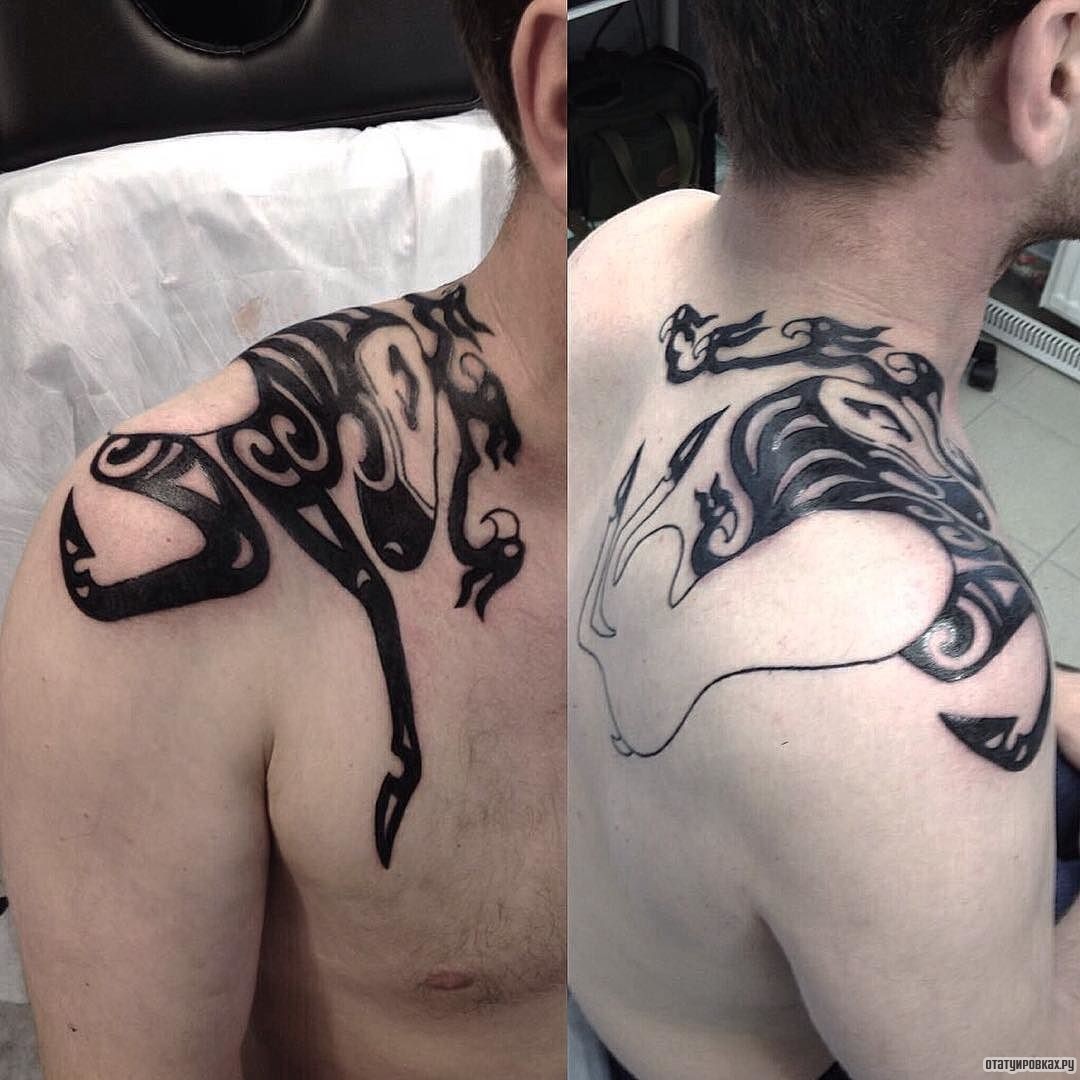 Фотография татуировки под названием «Скифский узор»