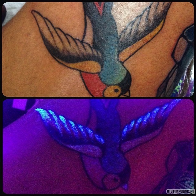 Фотография татуировки под названием «Светящаяся ласточка»