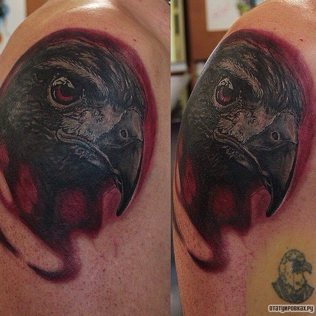 Фотография татуировки под названием «Клюв ястреба»