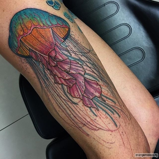 Фотография татуировки под названием «Тонкая медуза»