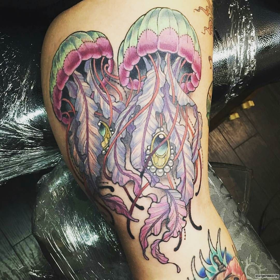 Фотография татуировки под названием «Две медузы с зеленой шапкой»
