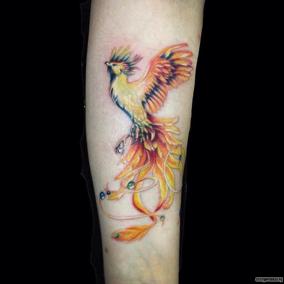 Фотография татуировки под названием «Жар птица с украшениями»