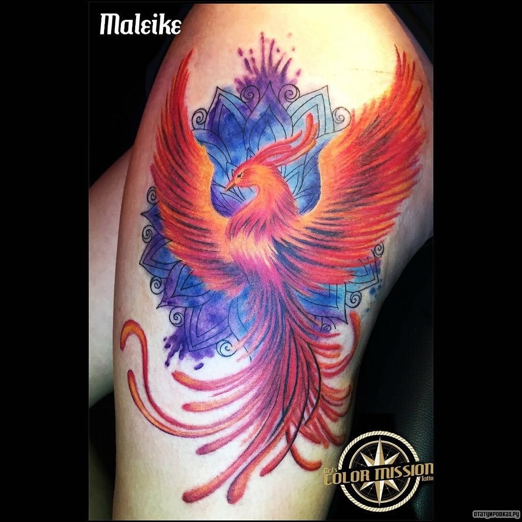 Фотография татуировки под названием «Жар птица с синей мандалой»