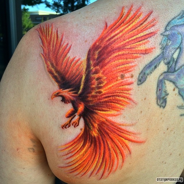 Фотография татуировки под названием «Жар птица с большим размахом крыльев»