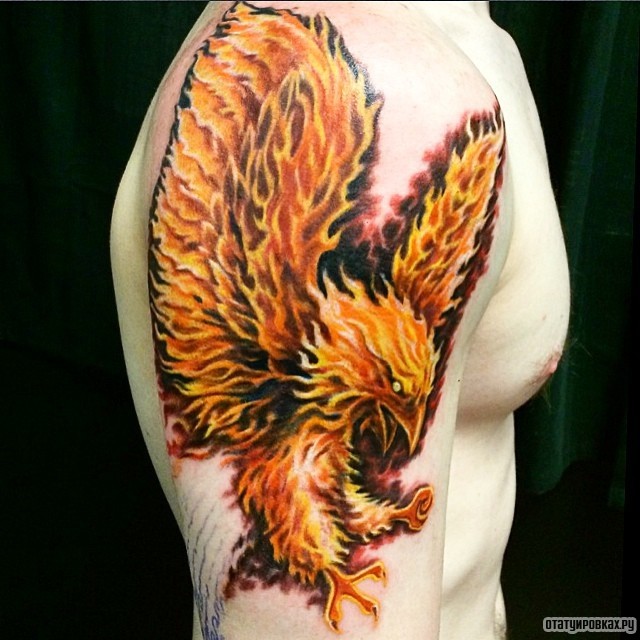 Фотография татуировки под названием «Жар птица из огня»