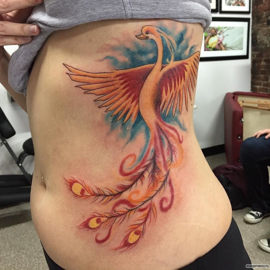 Фотография татуировки под названием «Жар птица на синем фоне»