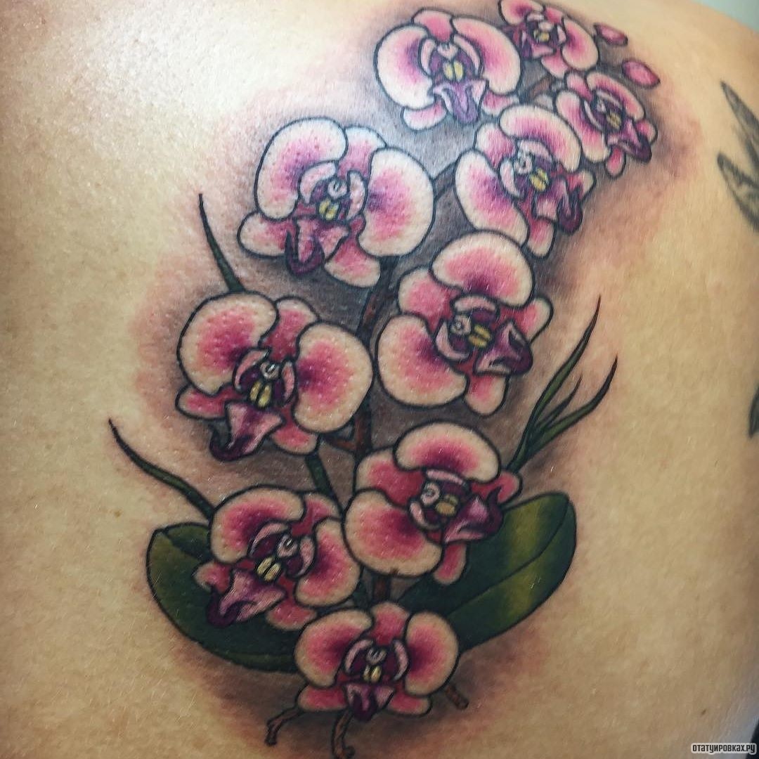 Фотография татуировки под названием «Цветки орхидеи на ветке»