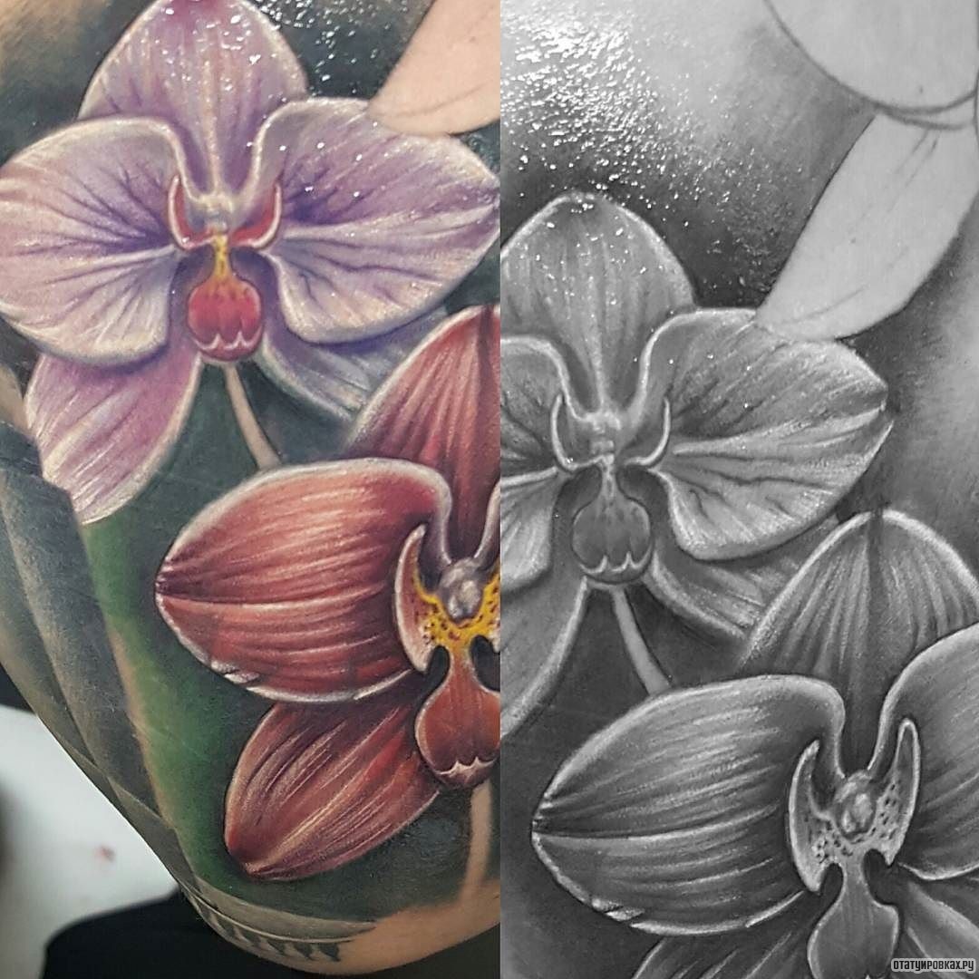 Фотография татуировки под названием «Реалистичные орхидеи»