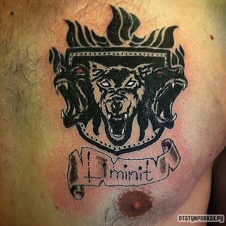 Фотография татуировки под названием «Оскал собак»