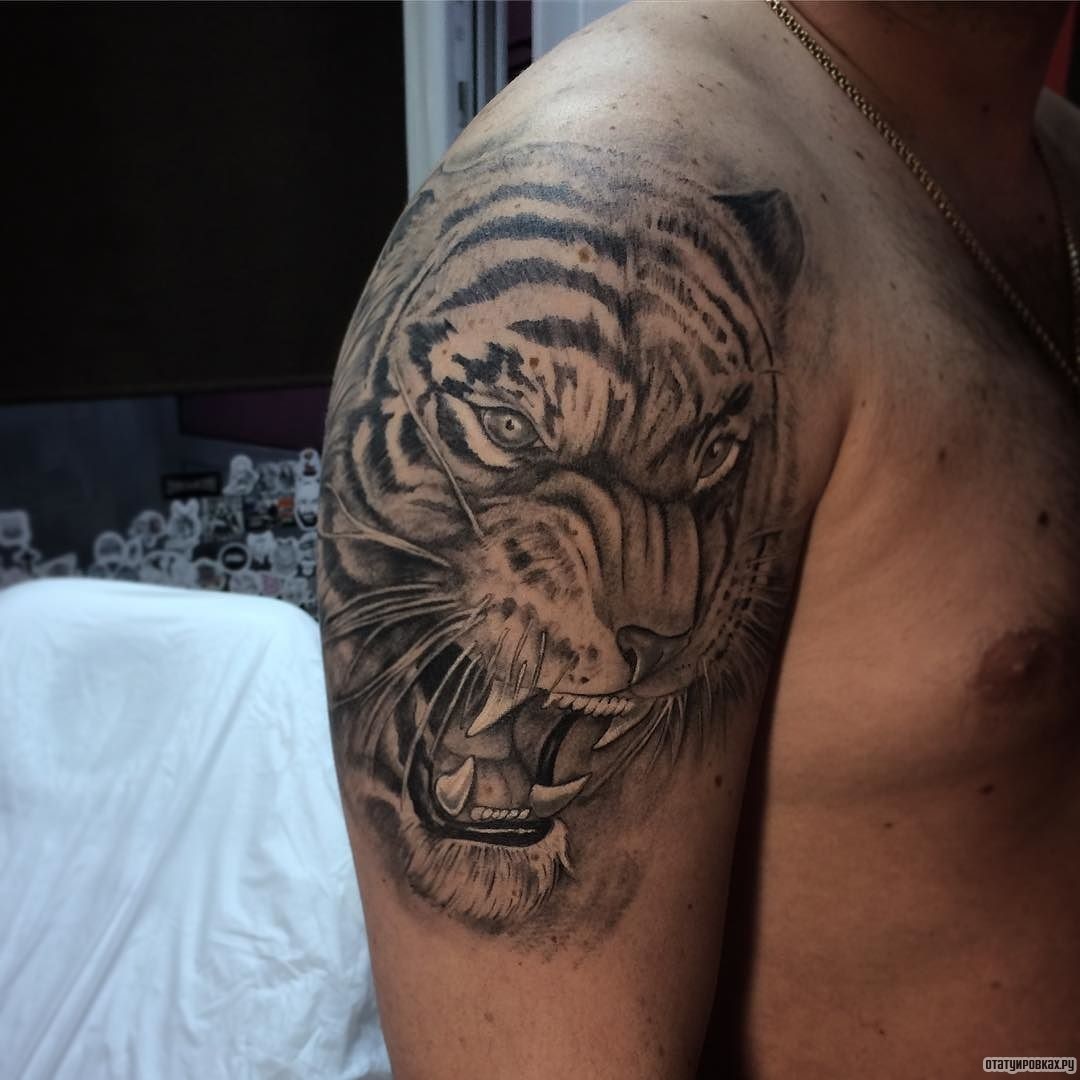 Тату оскал тигра на плече для мужчин