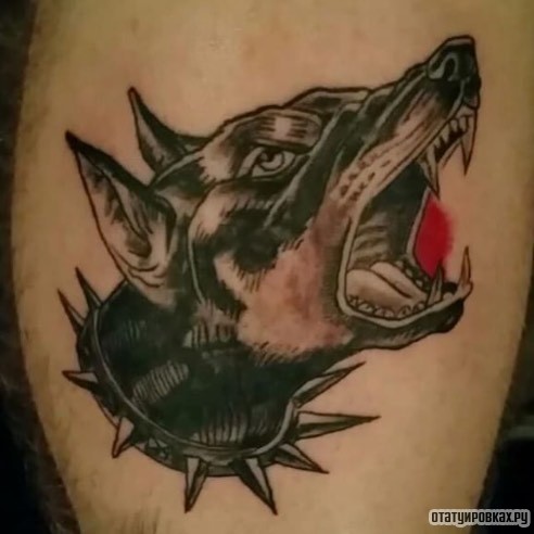 Фотография татуировки под названием «Оскал добермана»