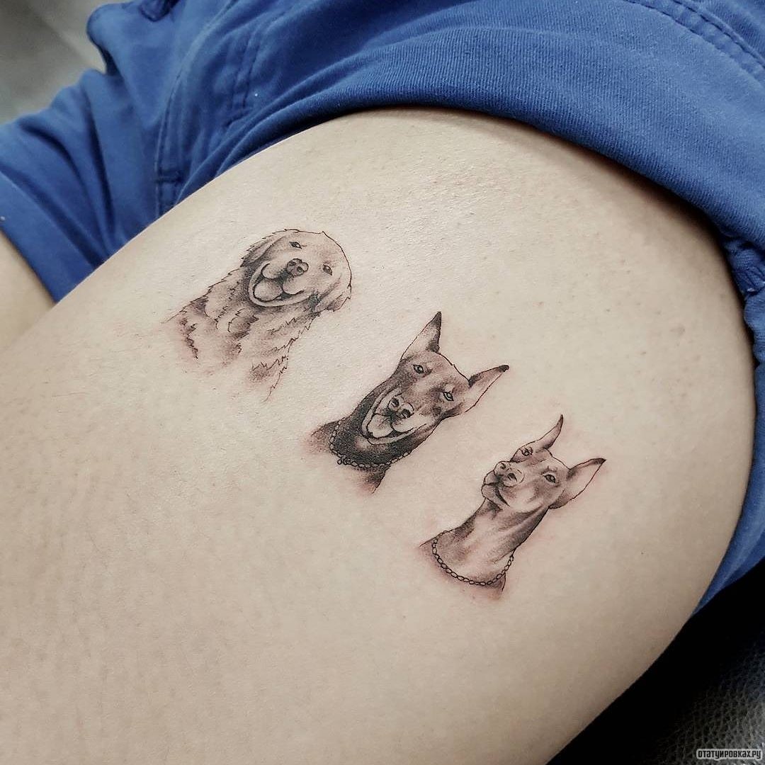 Фотография татуировки под названием «Три собаки с доберманом»
