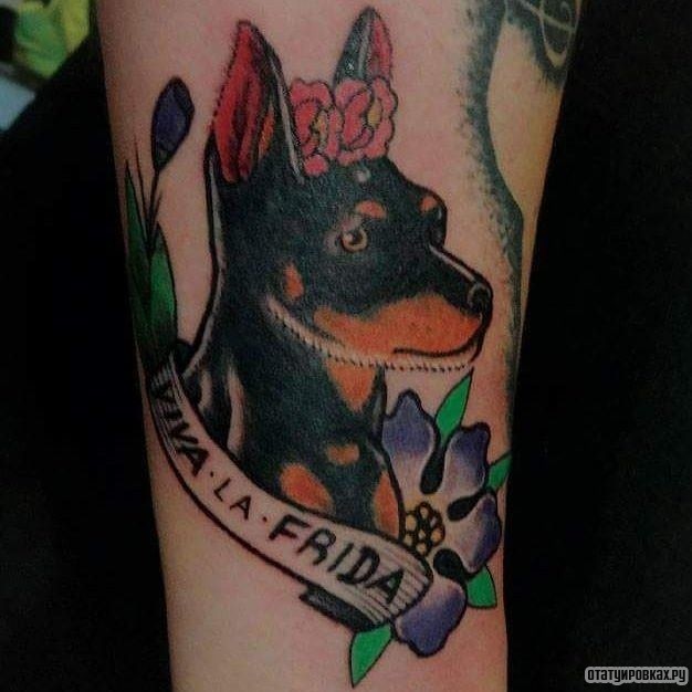 Фотография татуировки под названием «Доберман с надписью»