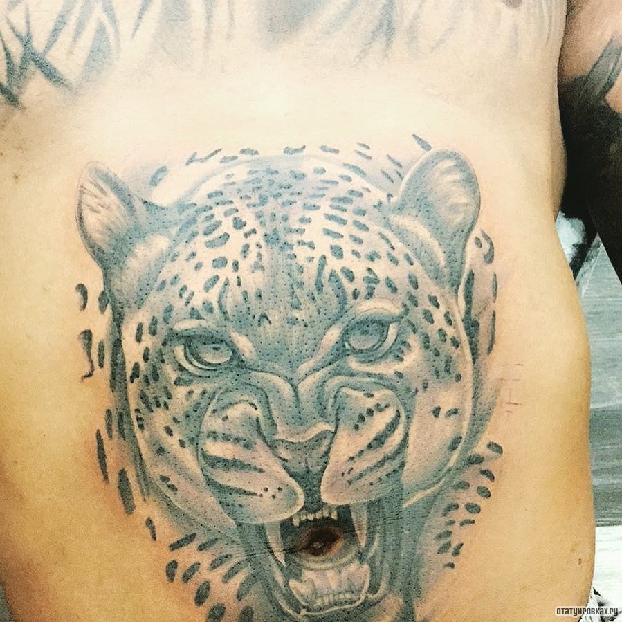 Фотография татуировки под названием «Леопард оскал»