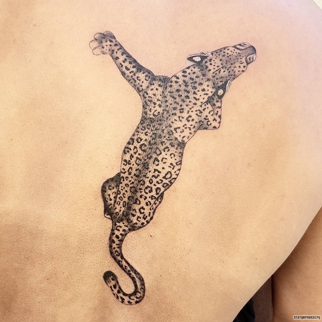 Фотография татуировки под названием «Леопард на спине»