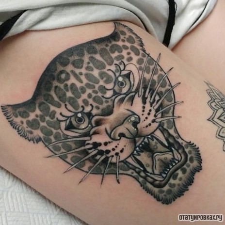 Фотография татуировки под названием «Оскал леопарда»