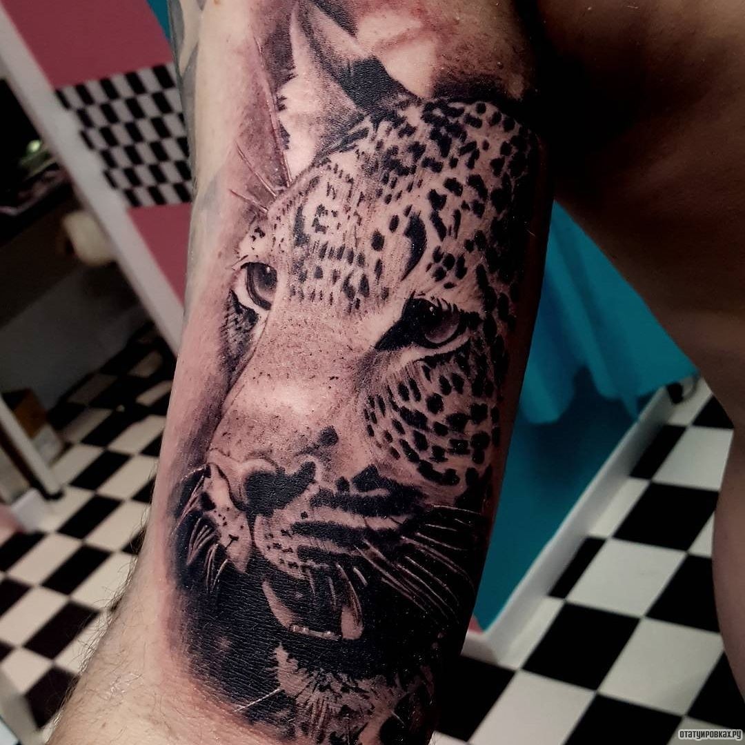 Фотография татуировки под названием «Леопард»