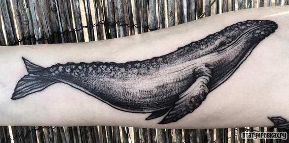 Фотография татуировки под названием «Гигантский кит»