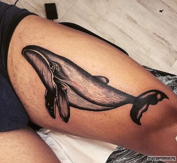 Фотография татуировки под названием «Большой черный кит»