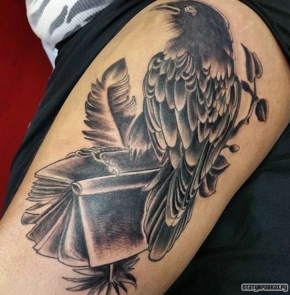Фотография татуировки под названием «Ворон сидит на книге»