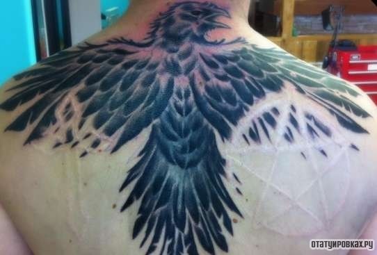 Фотография татуировки под названием «Огромный ворон»